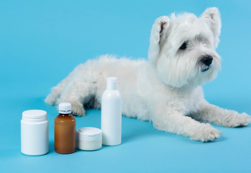 dog wound care