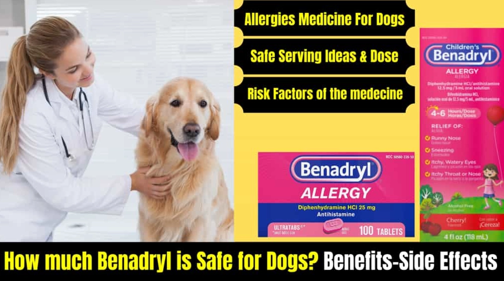 can i give my dog benadryl