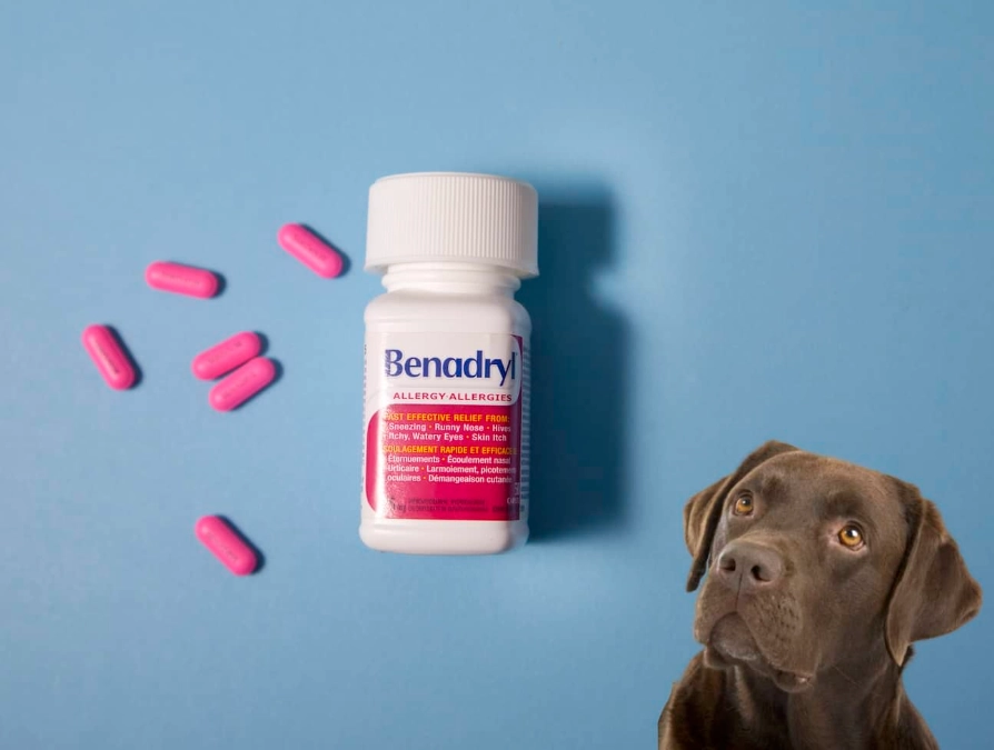 benadryl for dogs dosage
