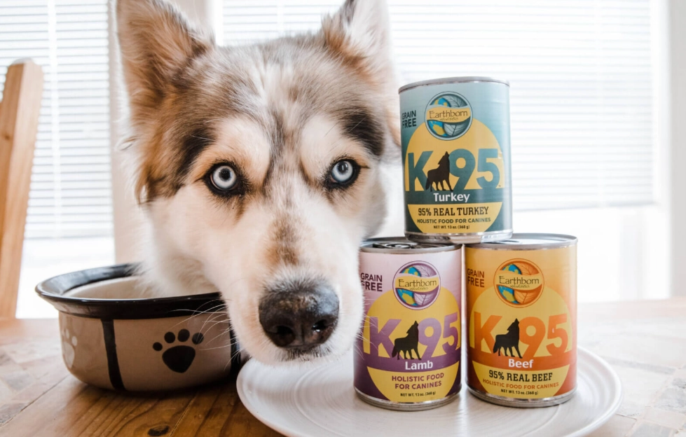 seasonings for dogs seasonings for dogs