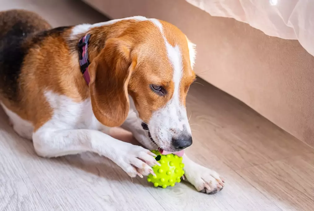 how to stop resource guarding how to stop resource guarding