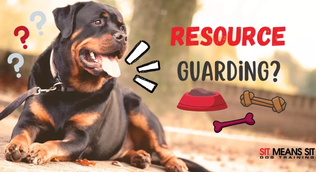 Can a dog be cured of resource guarding?