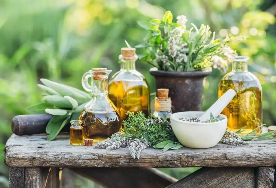 dog herbal supplements