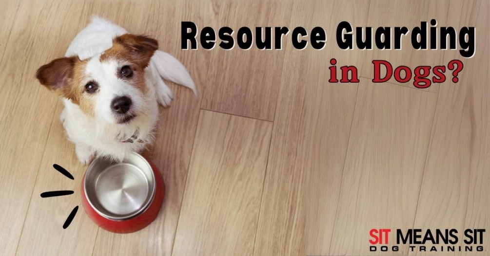 how to stop resource guarding how to stop resource guarding