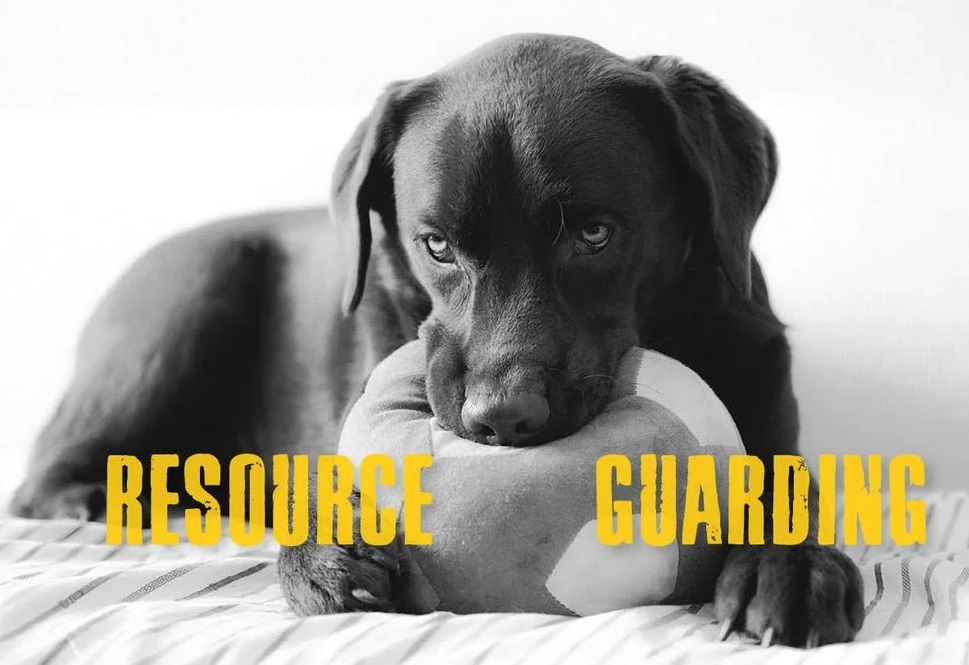 resource guarding training resource guarding training