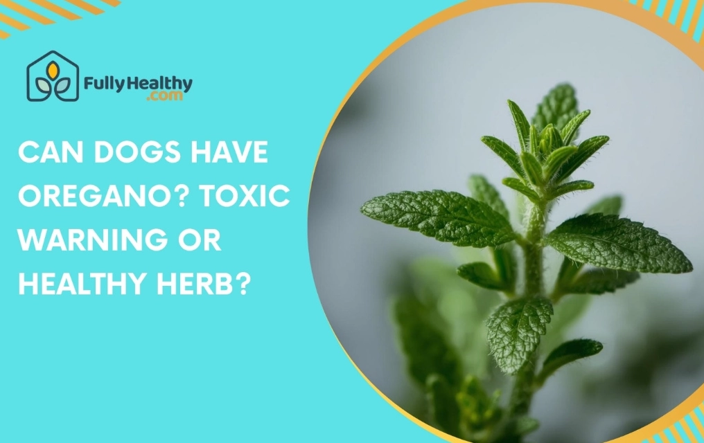herbs toxic to dogs