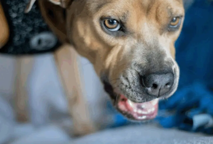 how to stop resource guarding how to stop resource guarding