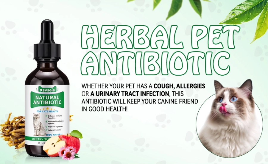 treat cat scratch at home