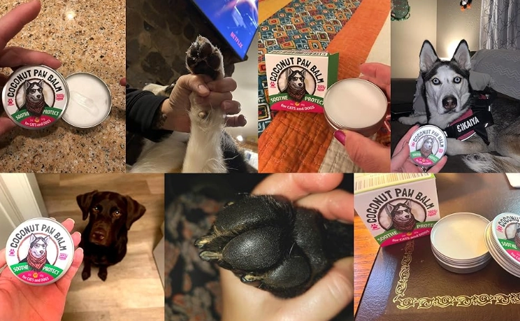 dry dog paws dry dog paws