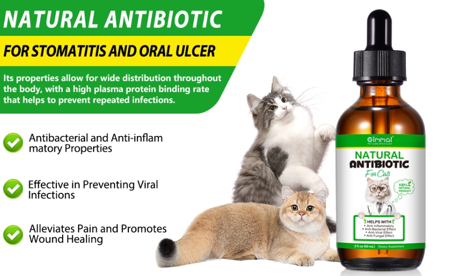 cat scratch home remedy