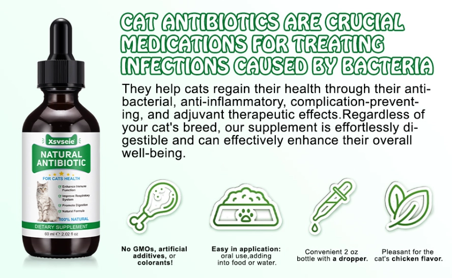 natural antiseptic for cat scratch