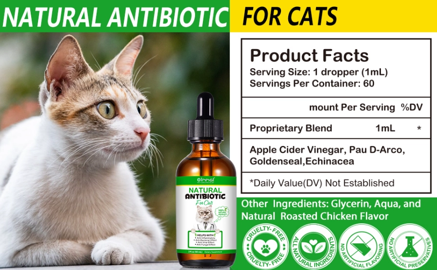 treat cat scratch at home