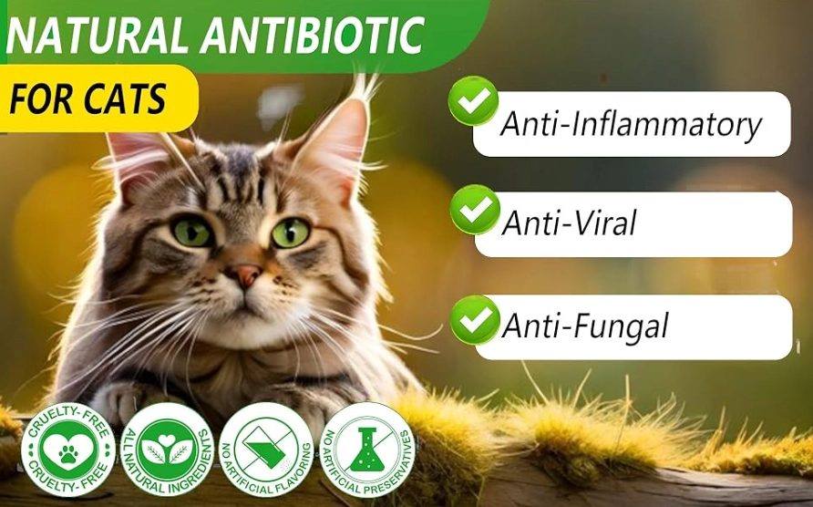 cat scratch home remedy