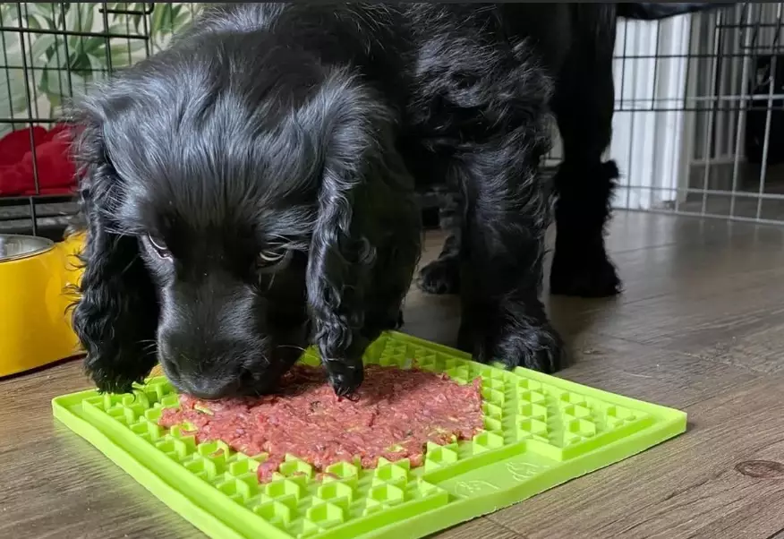 resource guarding training