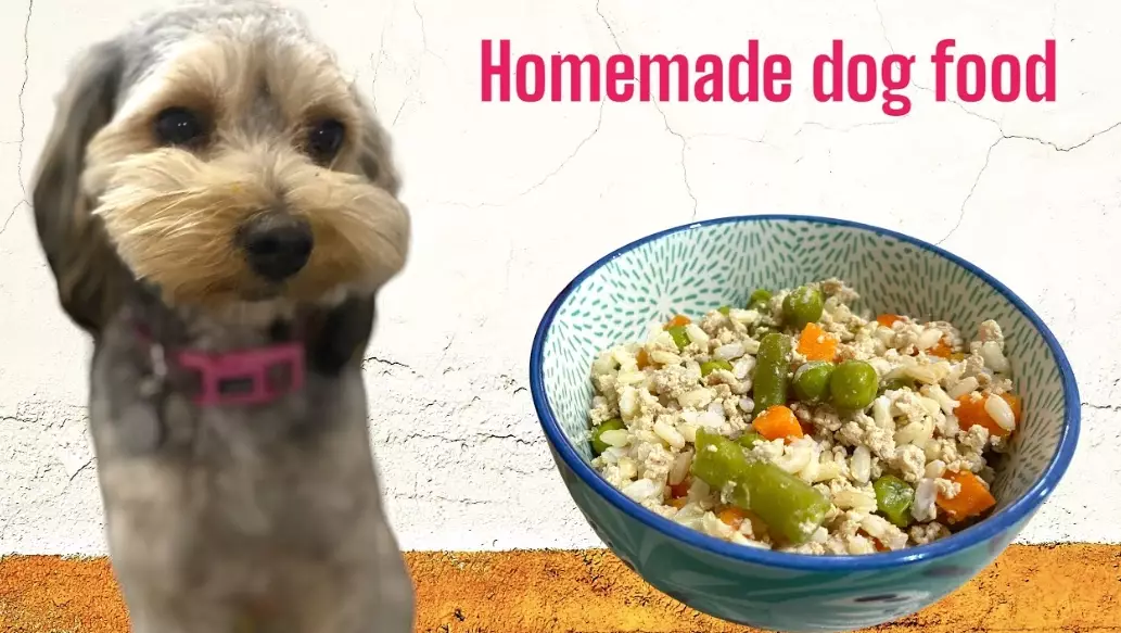 dog food toppers dog food toppers