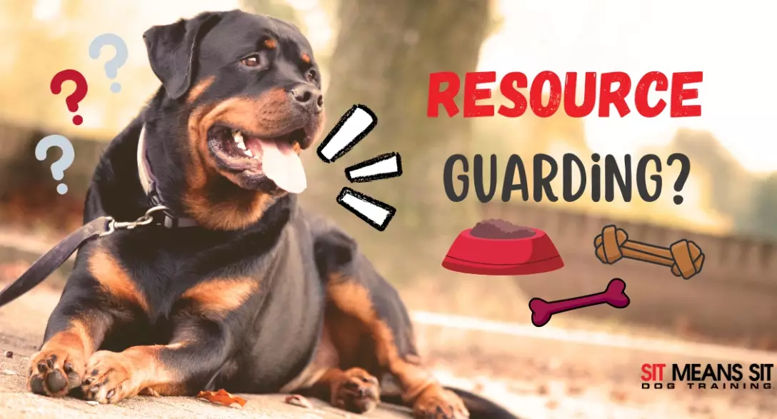 How do I stop my dog from resource guarding?
