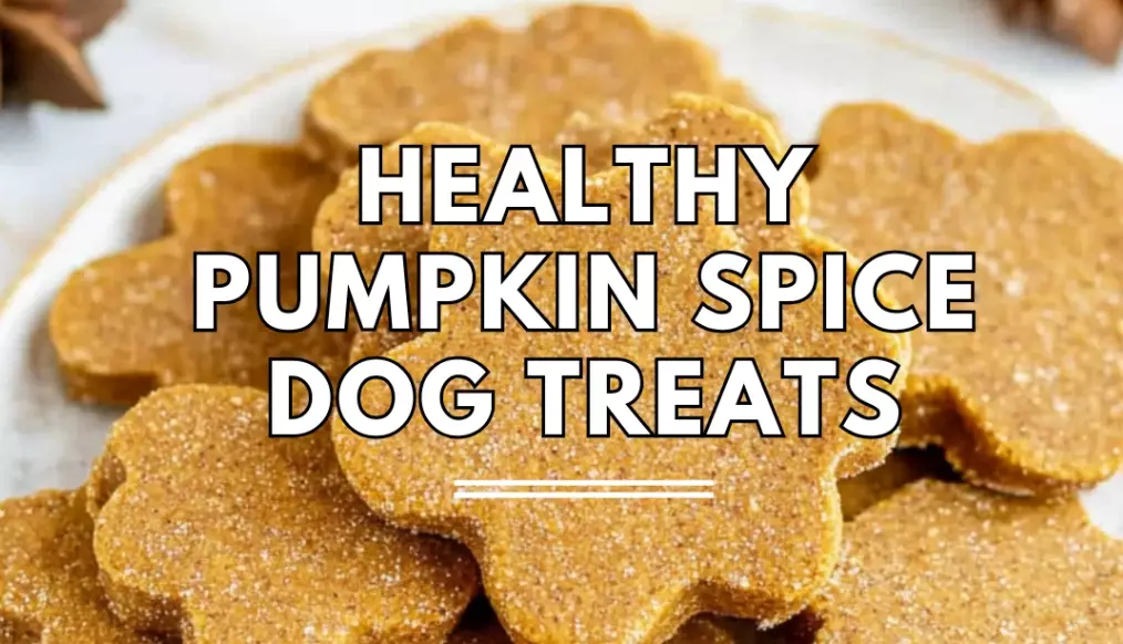 dog food toppers dog food toppers