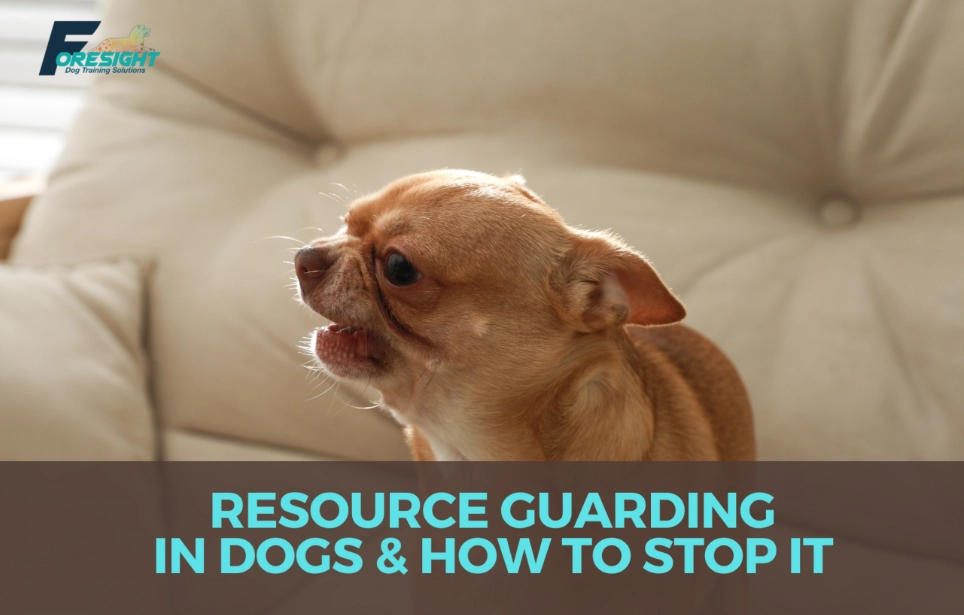 how to stop resource guarding how to stop resource guarding