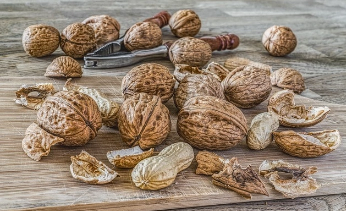 walnuts for cats