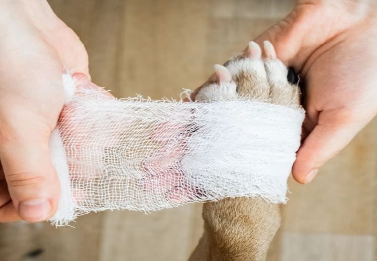 can i use peroxide on my dog's skin