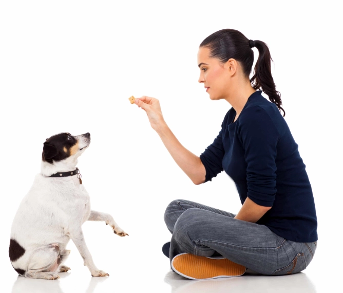how to train a puppy with treats