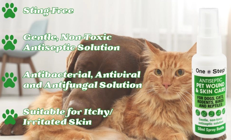 best antiseptic for cat scratches