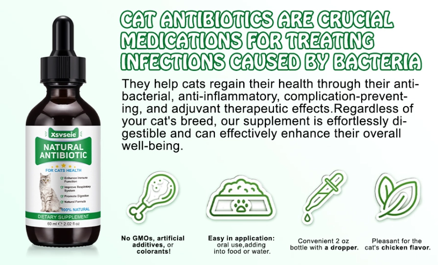 how to treat cat scratch