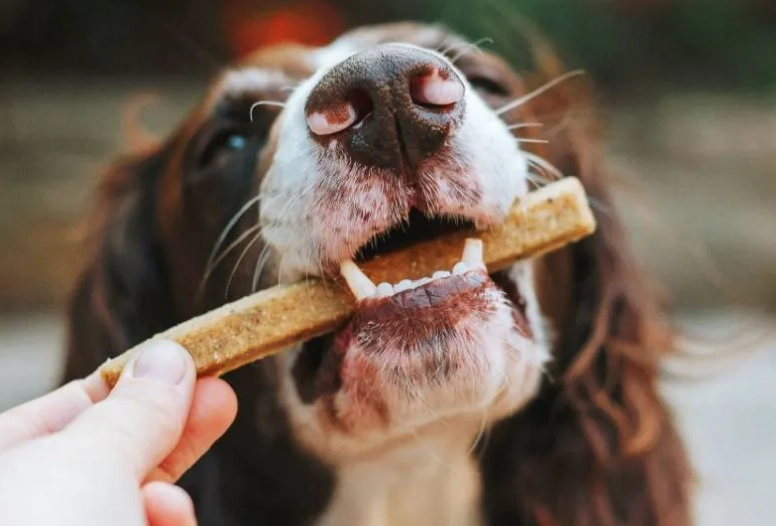 best training treats for puppies