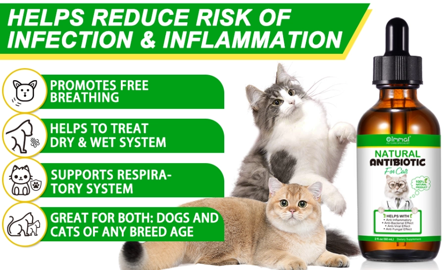 how to treat cat scratch