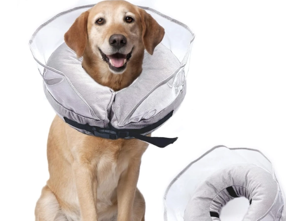 inflatable dog collar