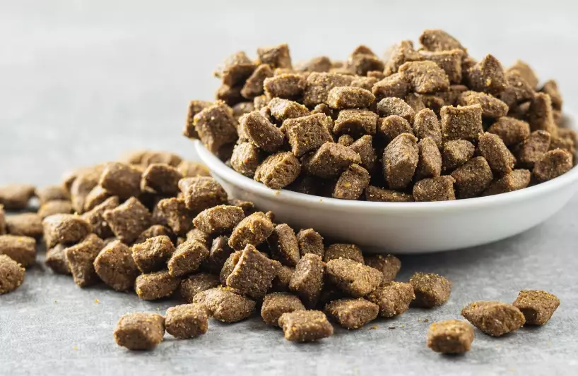 how much dry food to feed a cat how much dry food to feed a cat