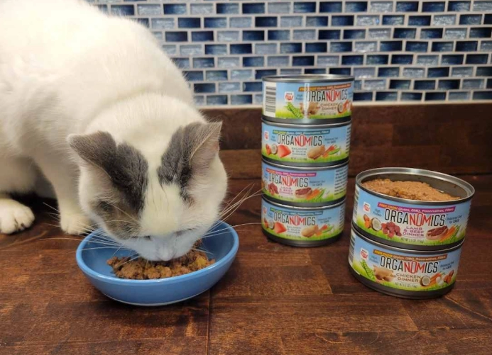 dry cat food amount per day dry cat food amount per day