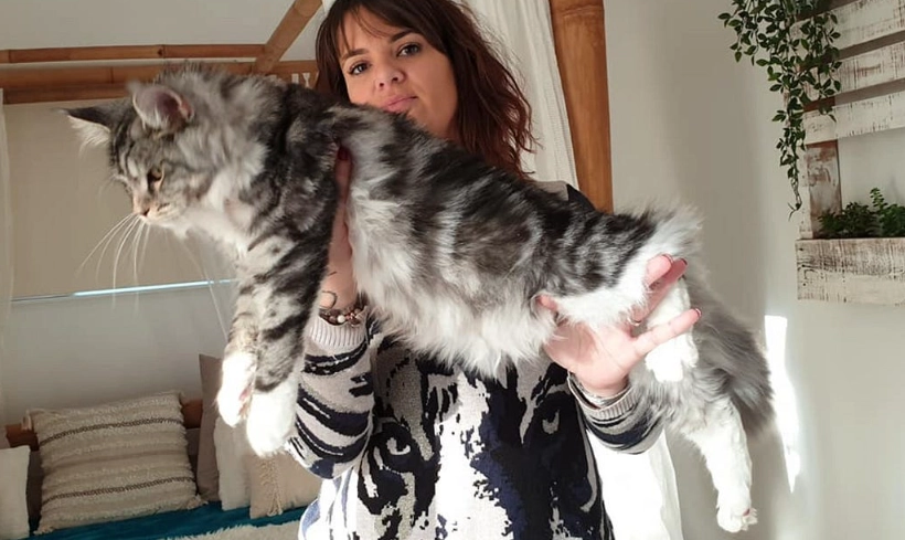 how much to feed cat by weight how much to feed cat by weight