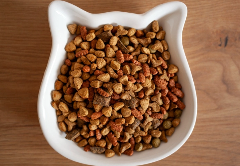 cat feeding chart cat feeding chart