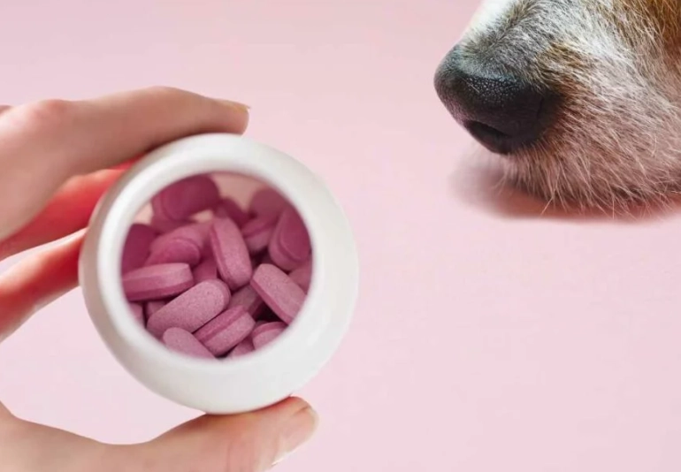 Benadryl dosage for dogs bee sting Benadryl dosage for dogs bee sting