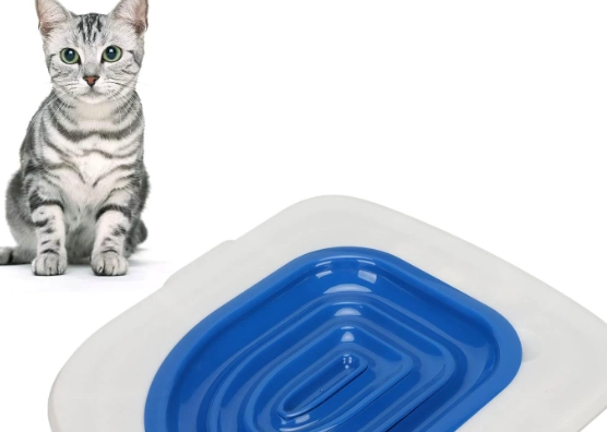 how to toilet train a cat