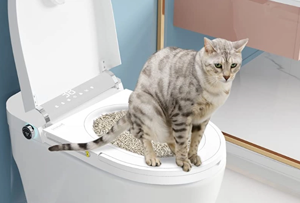 cat toilet training
