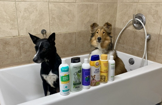 safe dog shampoo ingredients