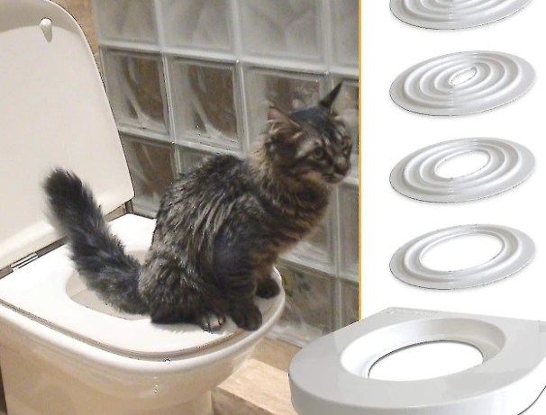 cat toilet training