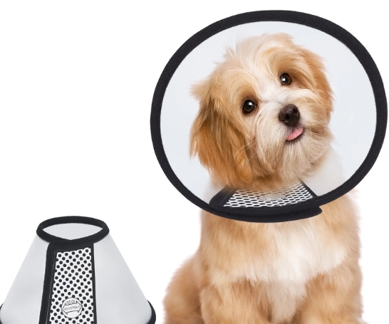how to measure for dog cone