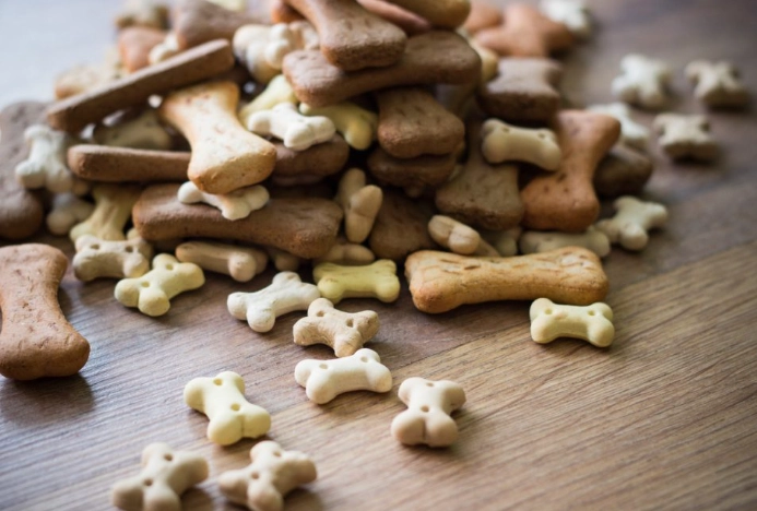 best dog treats for rewards