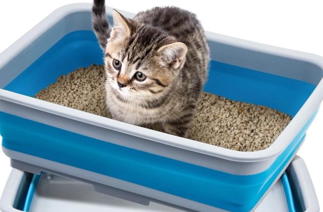 small litter box for cats
