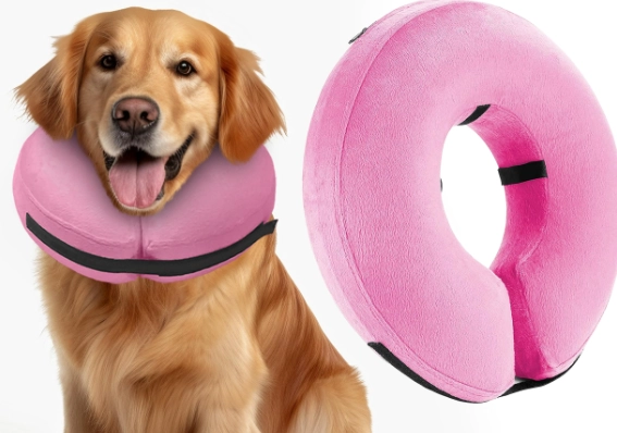 inflatable dog cone alternative