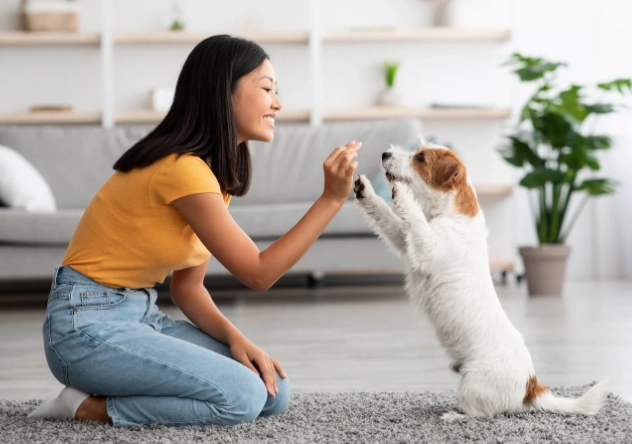 dog treat training