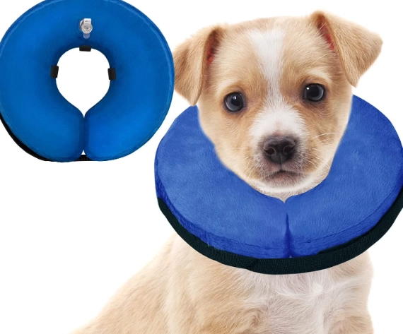 inflatable dog cone alternative