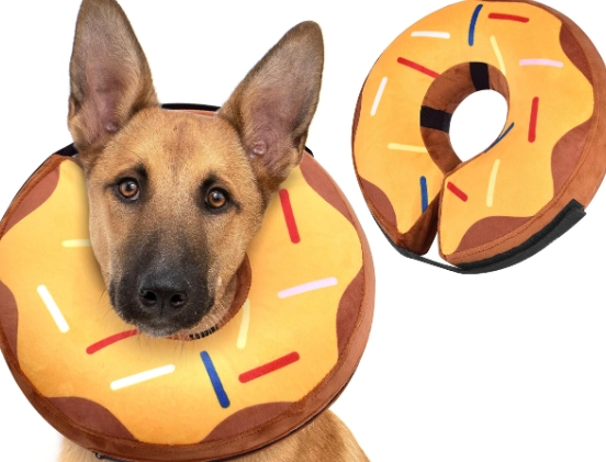 how to put on dog donut collar