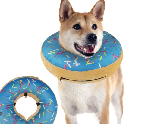 how to put on dog donut collar