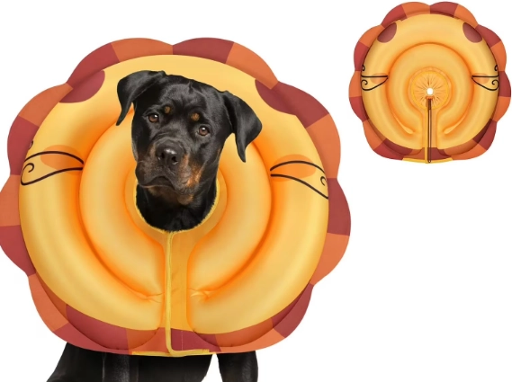 how to put on dog donut collar