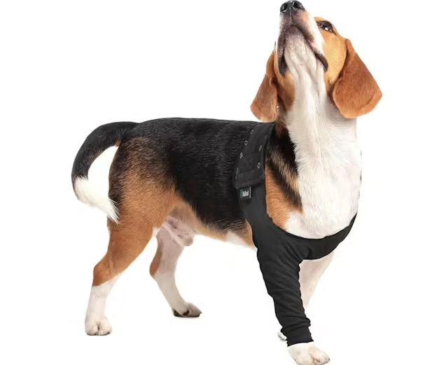 dog recovery shirt dog recovery shirt