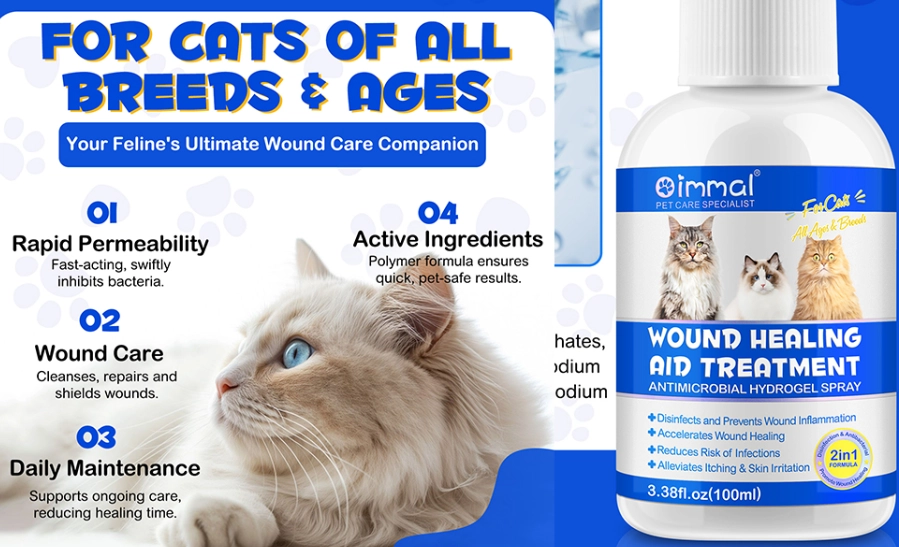 How to Heal Cat Scratches Fast: A Step-by-Step Guide